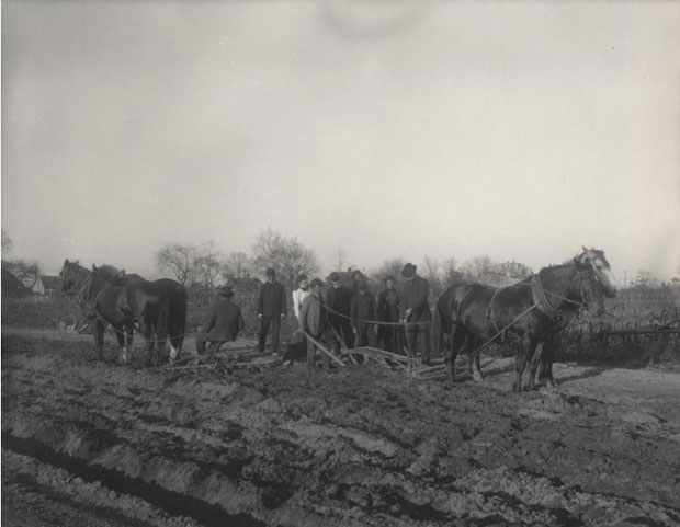 מאמר על הצלמת פרנסיס מרגרט ג'ונסטון-צילום-של שיעור חקלאות