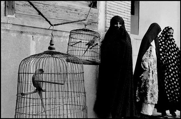 IRAN.-Shiraz.-1956