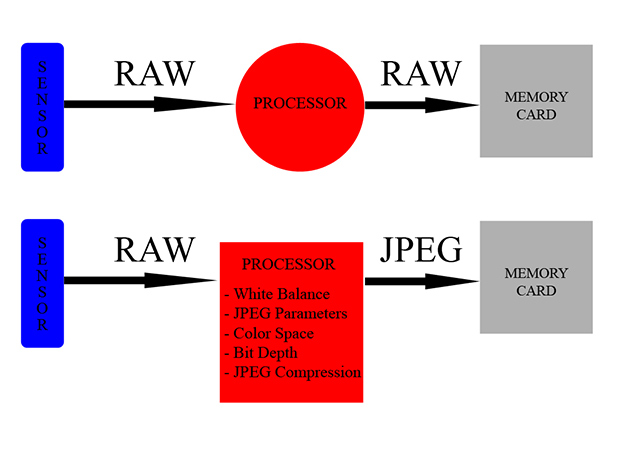 RAW-VS-JPEG-קורס-צילום-מתקדם