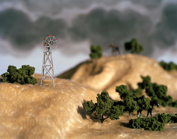 Windmill צילום של אריקה רו מתוך O Pioneer